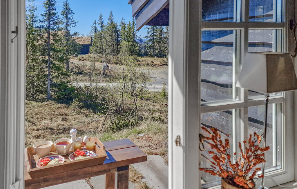 Ferienhaeuser - Valdres/Gamlestølen , Norwegen - N32092 13