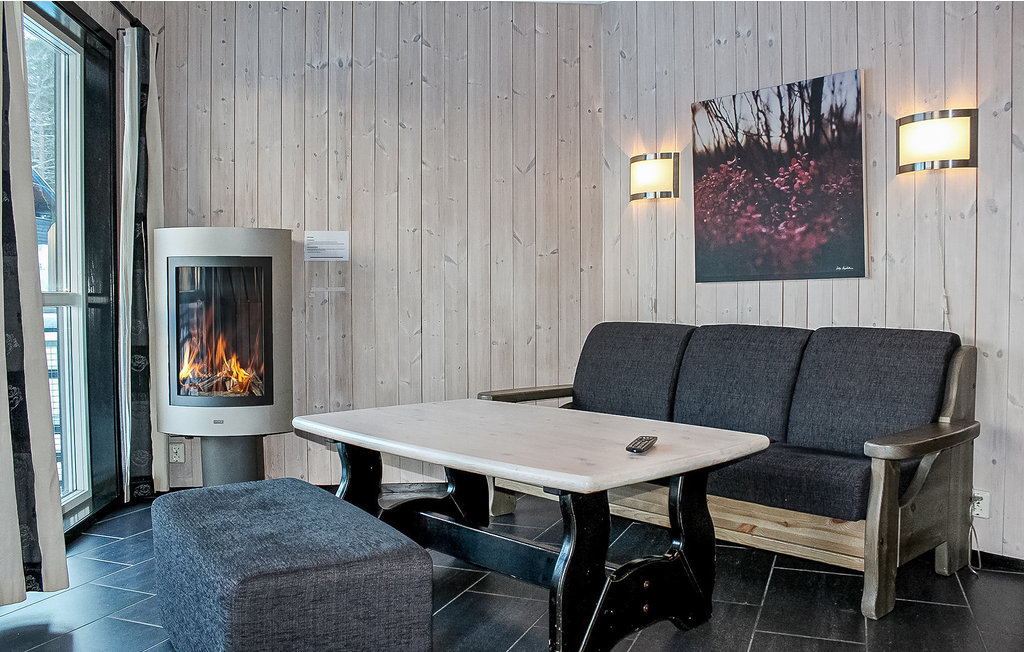 Ferienwohnung - Hemsedal , Norwegen - N33424 2