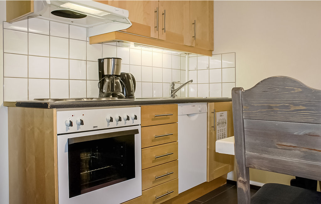 Ferienwohnung - Hemsedal , Norwegen - N33424 3