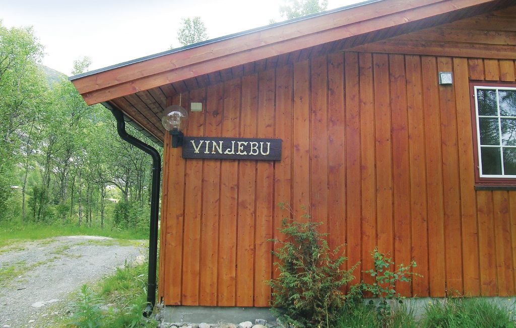 Semesterhus - Hemsedal , Norge - N33655 6