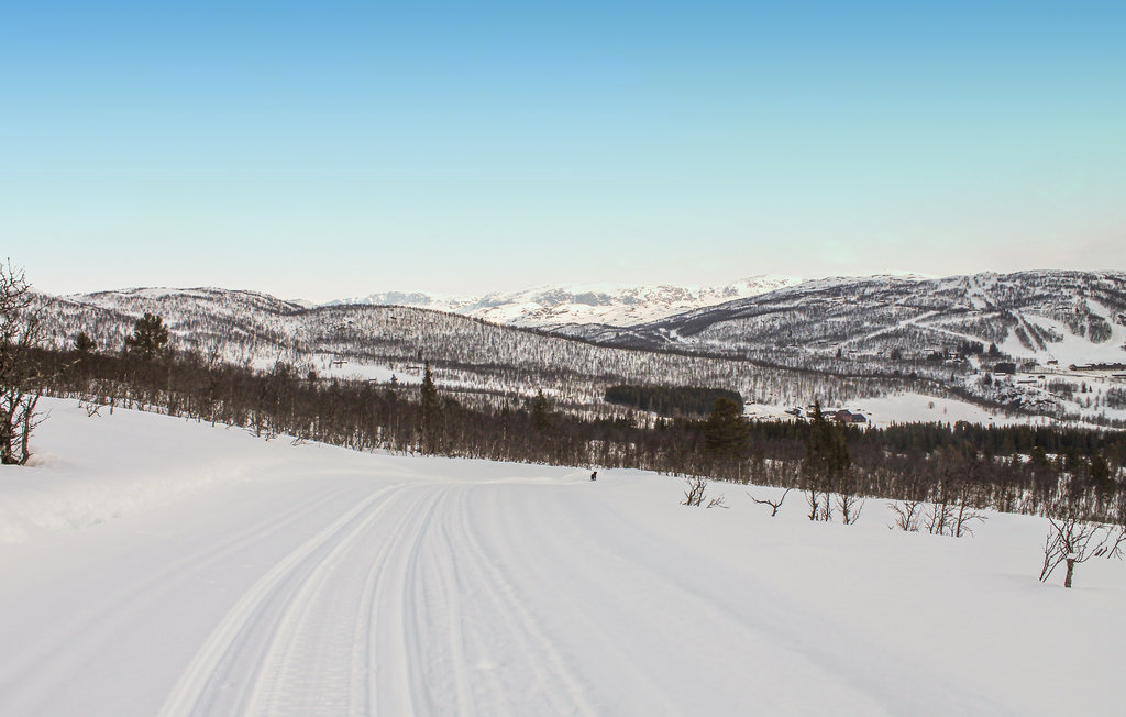 Lejlighed - Ål , Norge - N33068 6