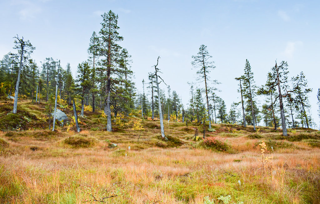 Feriehuse - Eggedal , Norge - N33236 27