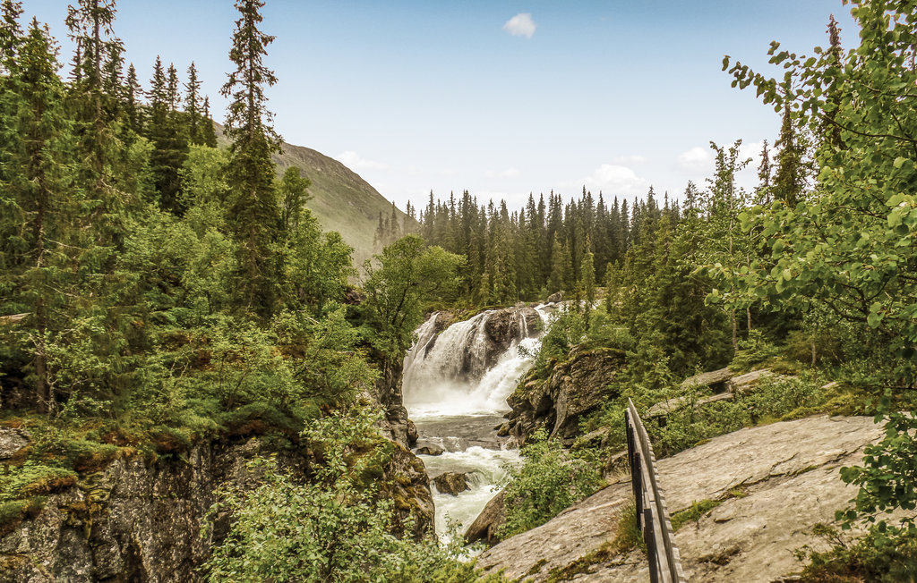 Ferienwohnung - Buskerud , Norwegen - N33339 11
