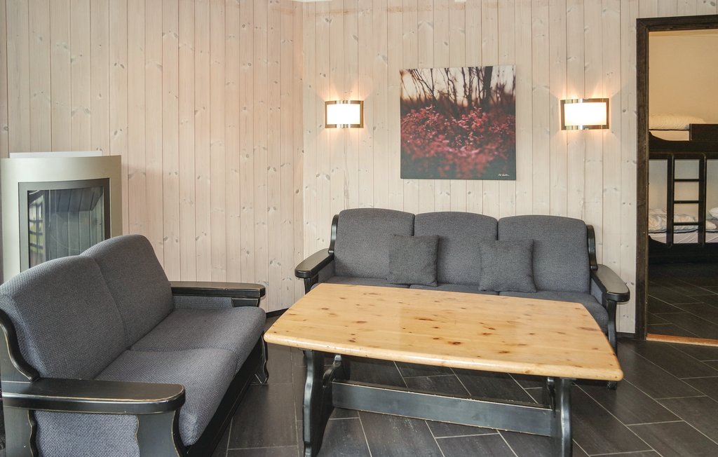 Ferienwohnung - Hemsedal , Norwegen - N33950 2