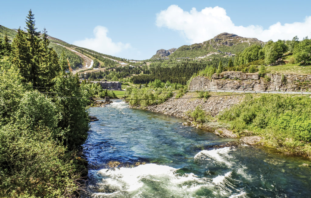 Ferienwohnung - Buskerud , Norwegen - N33339 8