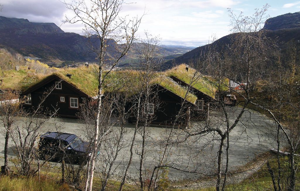 Feriehus - Hemsedal , Norge - N33911 5