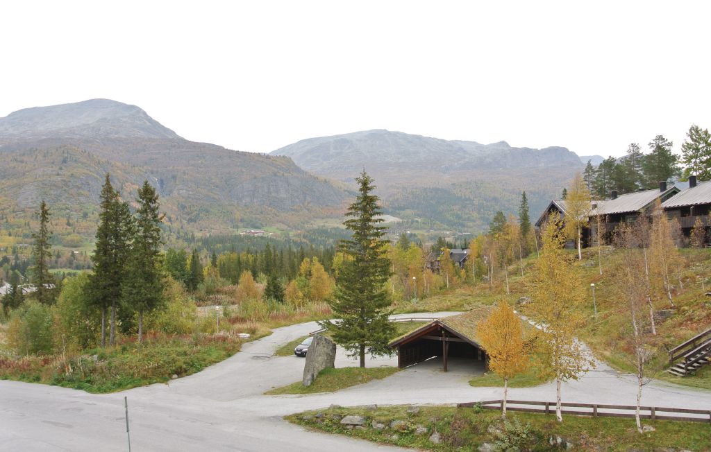 Ferieleilighet - Hemsedal , Norge - N33952 6