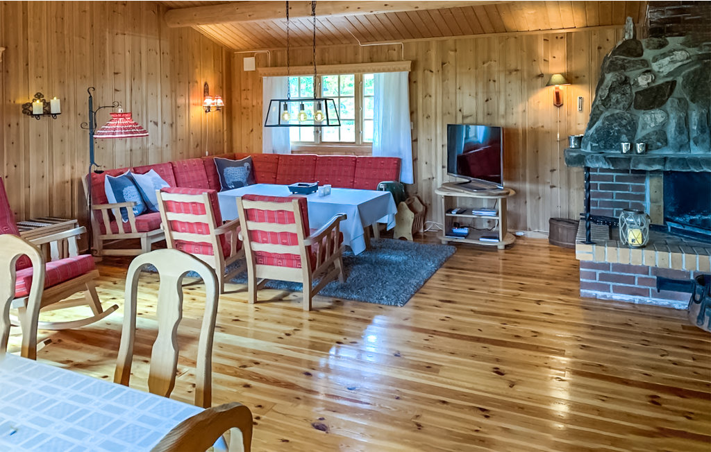 Ferienhaus - Sangefjell Ål / Geilo , Norwegen - N33440 3
