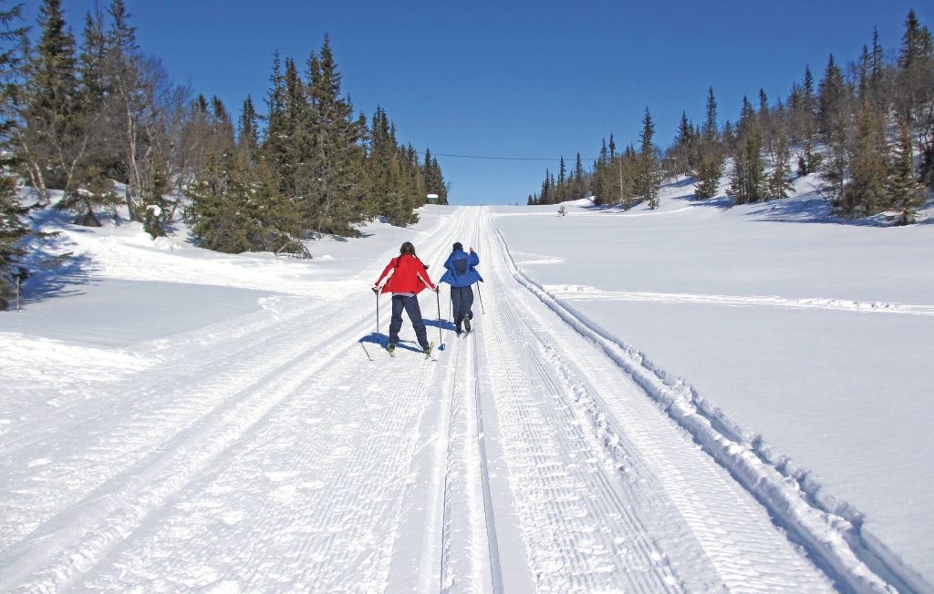 Feriehuse - Eggedal , Norge - N33059 14