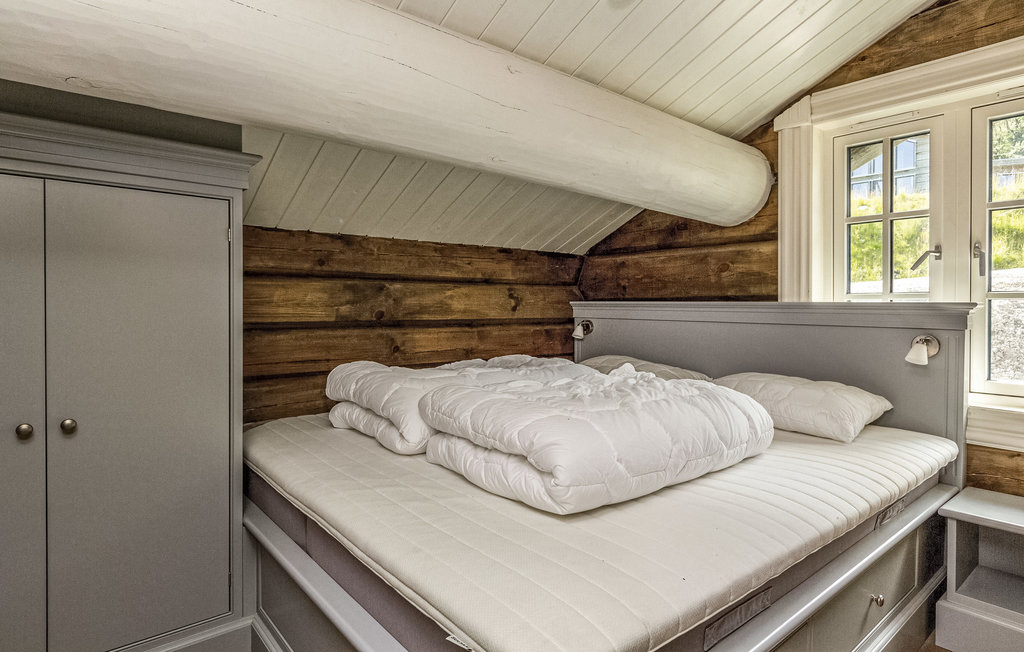 Feriehuse - Hemsedal , Norge - N33500 14