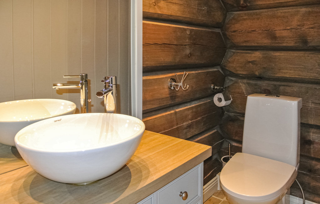 Feriehuse - Hemsedal , Norge - N33500 17