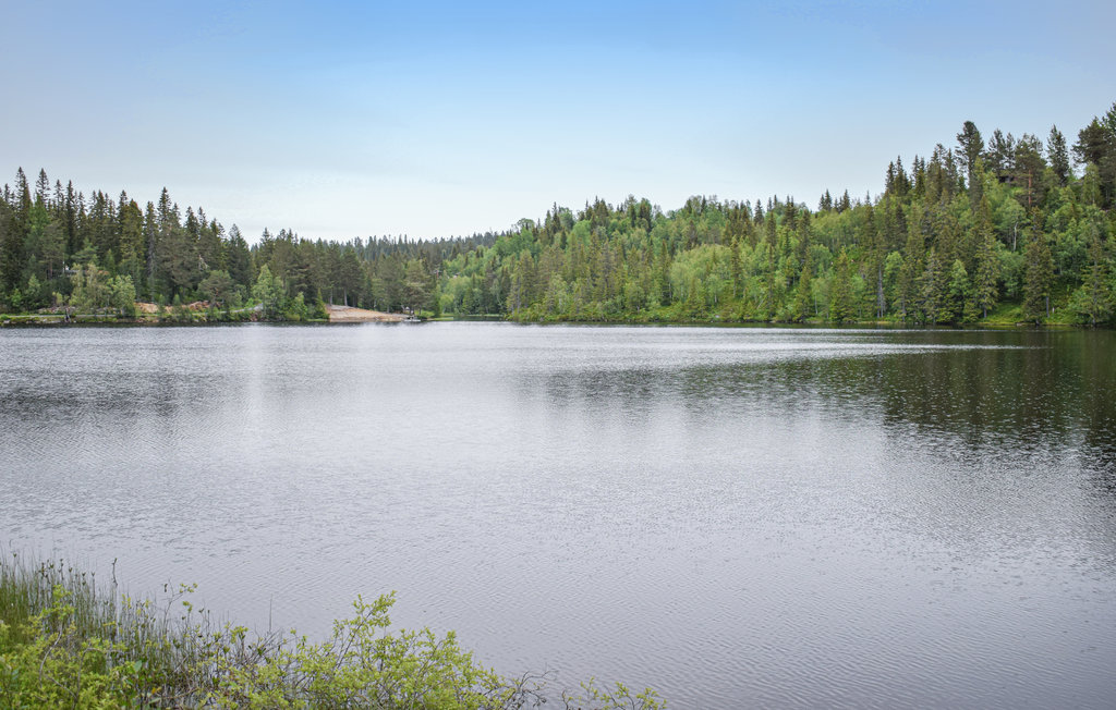 Ferienhaus - Rajekollen/Kongsberg , Norwegen - N33244 16