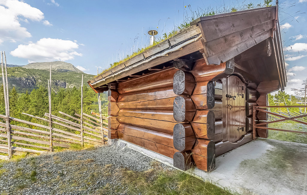 Feriehuse - Hemsedal , Norge - N33260 14