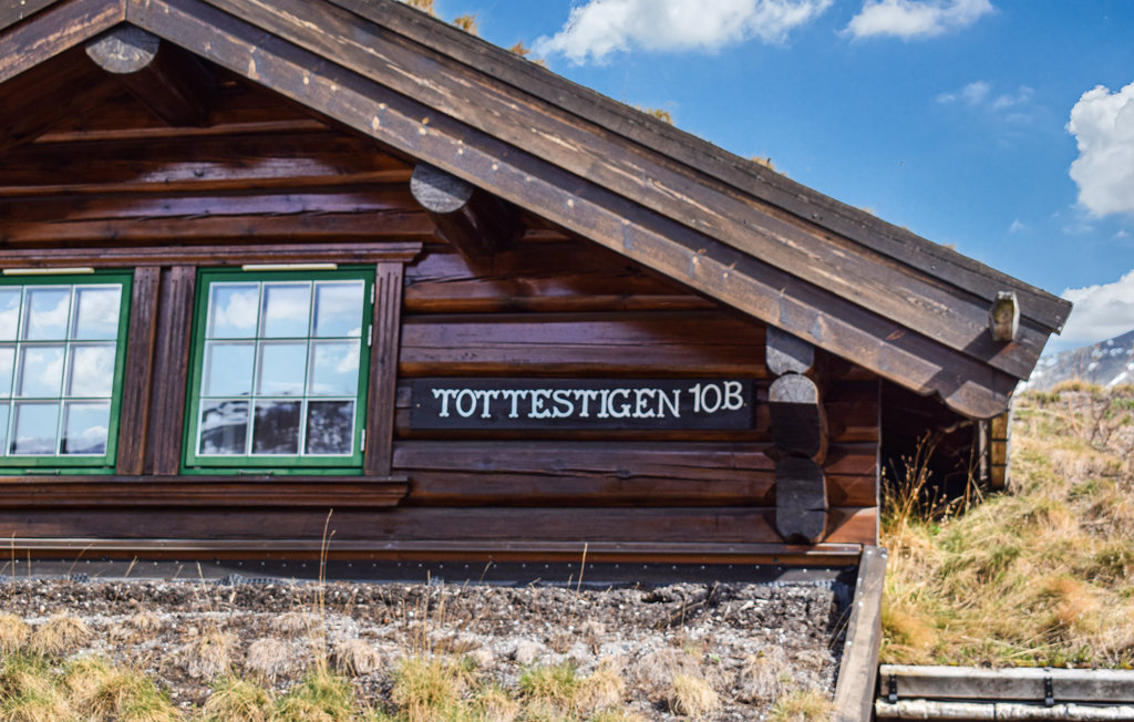 Ferienhaus - Hemsedal , Norwegen - N33261 7