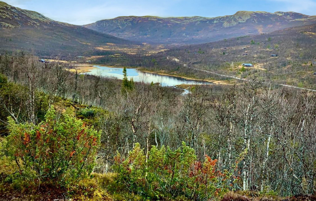 Feriehuse - Uvdal , Norge - N33235 14