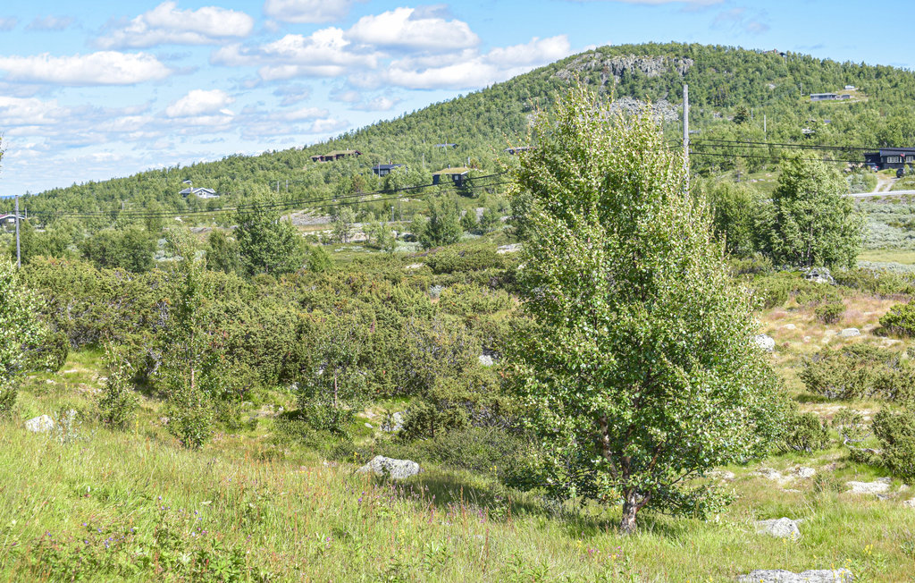 Feriehuse - Uvdal , Norge - N33285 16