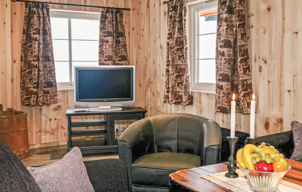 Feriehuse - Hemsedal , Norge - N33009 11