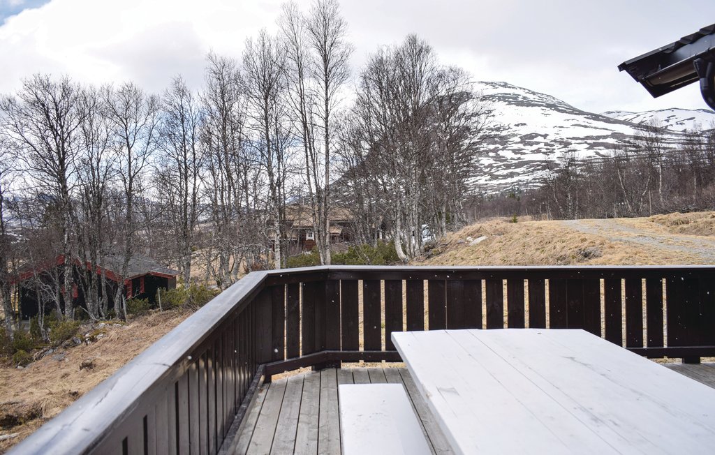 Feriehuse - Hemsedal , Norge - N33140 8