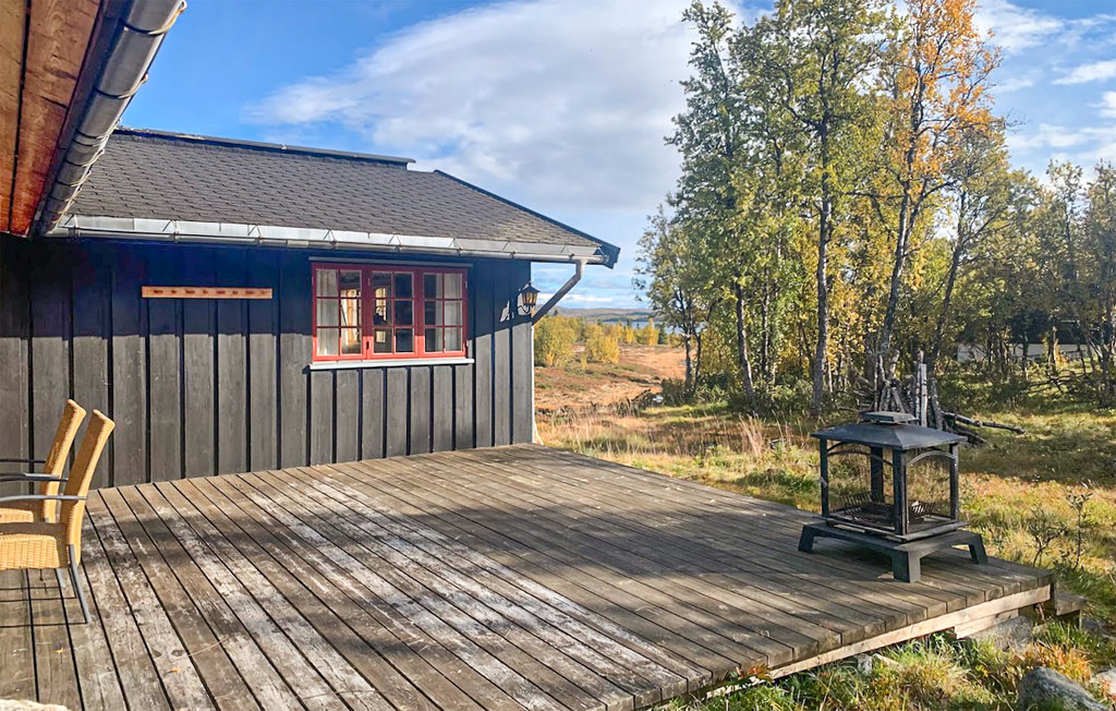 Ferienhaus - Sangefjell Ål / Geilo , Norwegen - N33440 10