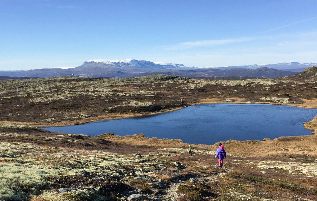 Feriehuse - Ål , Norge - N33432 13