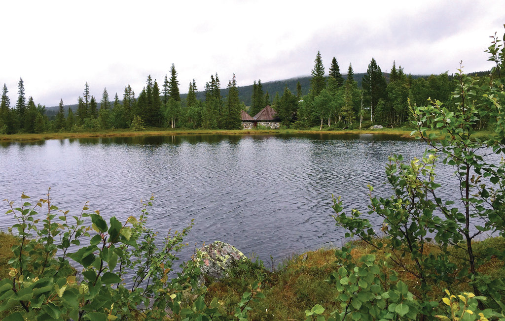 Feriehuse - Eggedal , Norge - N33059 19