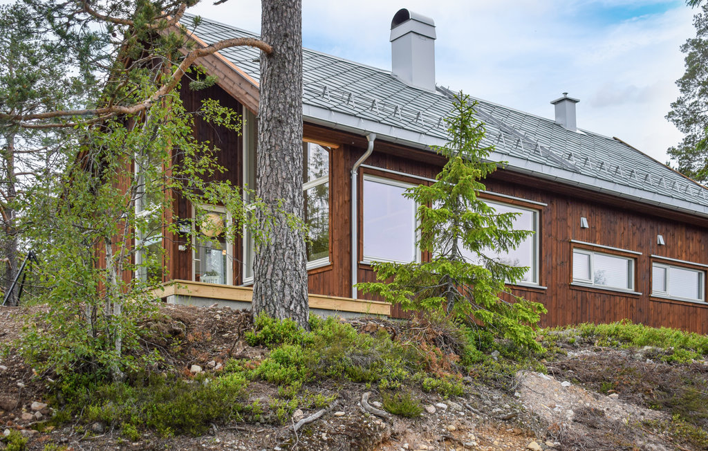Ferienhaus - Rajekollen/Kongsberg , Norwegen - N33244 6