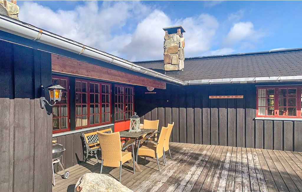 Ferienhaus - Sangefjell Ål / Geilo , Norwegen - N33440 2