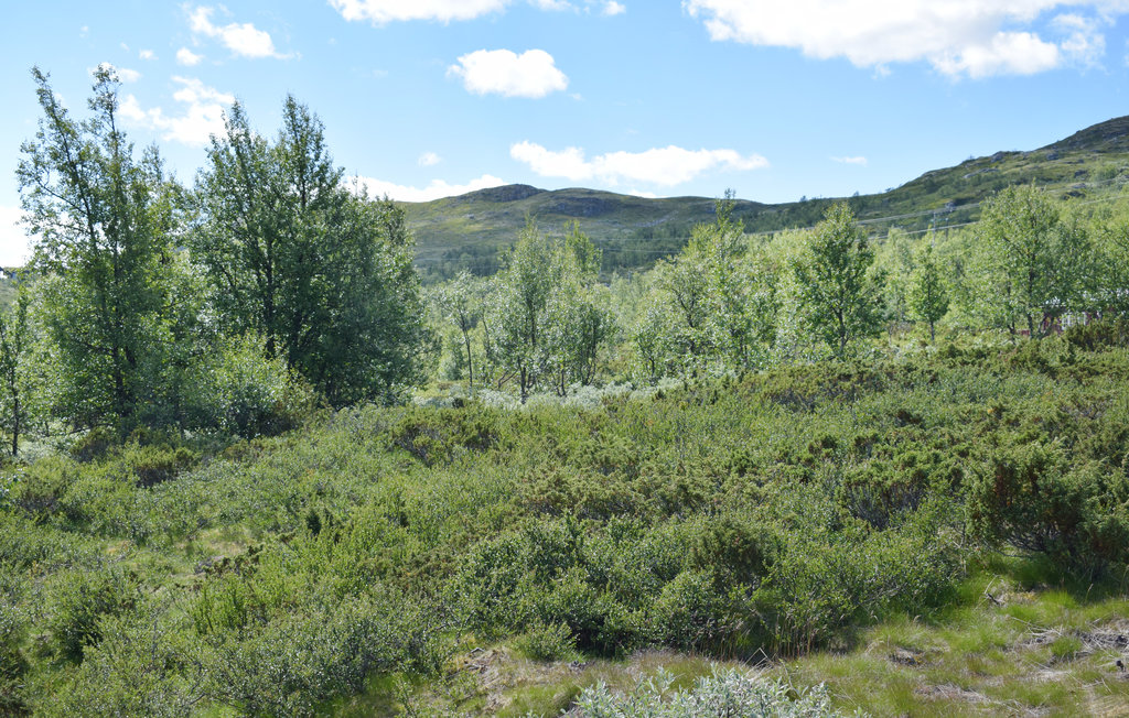 Feriehuse - Uvdal/Dagali , Norge - N33978 9
