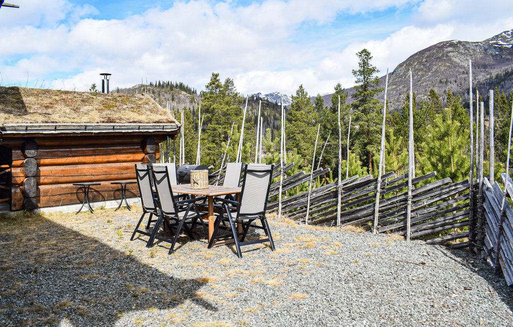 Ferienhaus - Hemsedal , Norwegen - N33261 2