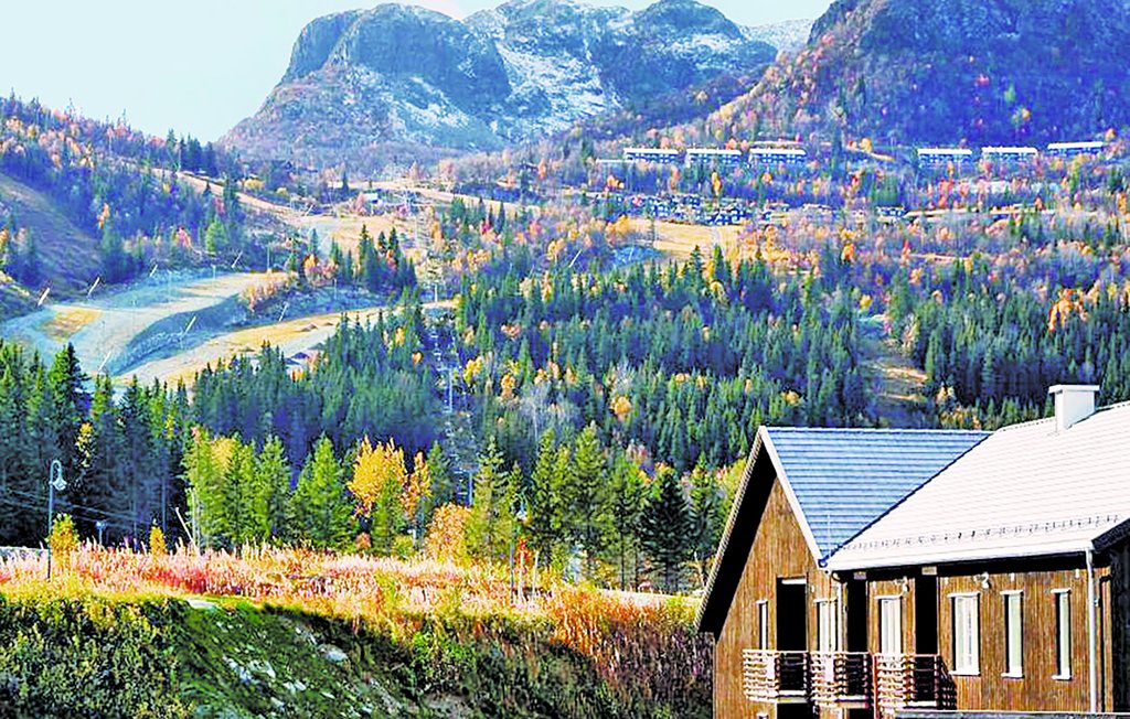 Ferienwohnung - Hemsedal , Norwegen - N33951 1