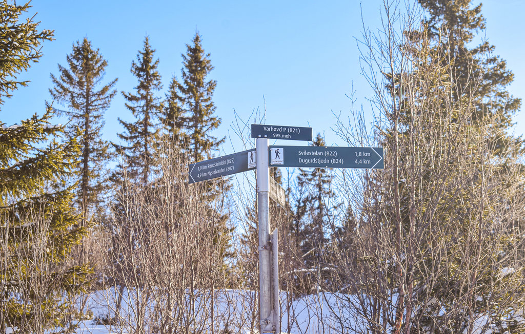 Feriehuse - Golsfjellet/Nystølfjellet , Norge - N33435 31