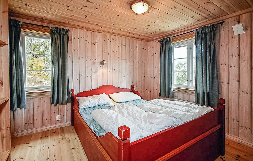 Ferienhaus - Hemsedal , Norwegen - N33900 5