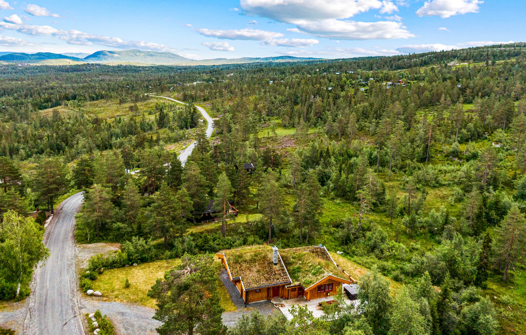 Feriehuse - Blefjell/Gvelven , Norge - N33087 8