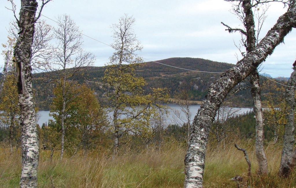 Feriehuse - Reinsjøfjell/Haglebu/Flå , Norge - N33185 22