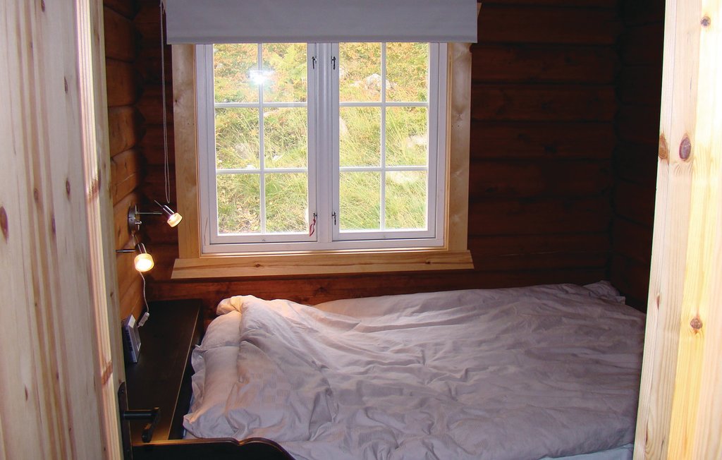 Feriehuse - Reinsjøfjell/Haglebu/Flå , Norge - N33185 17