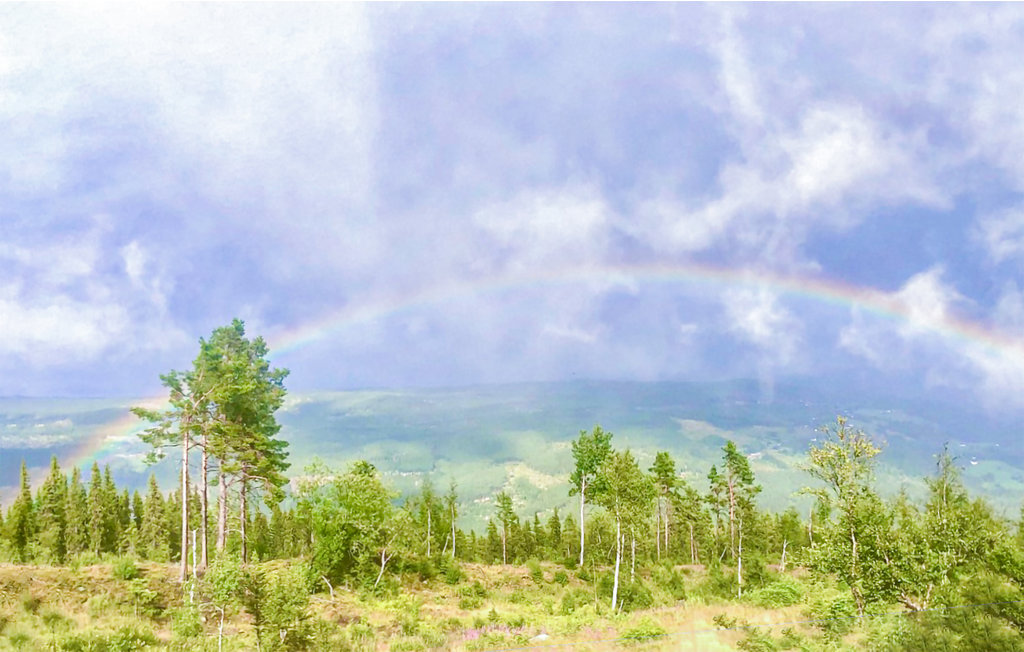 Feriehuse - Gol , Norge - N33246 21