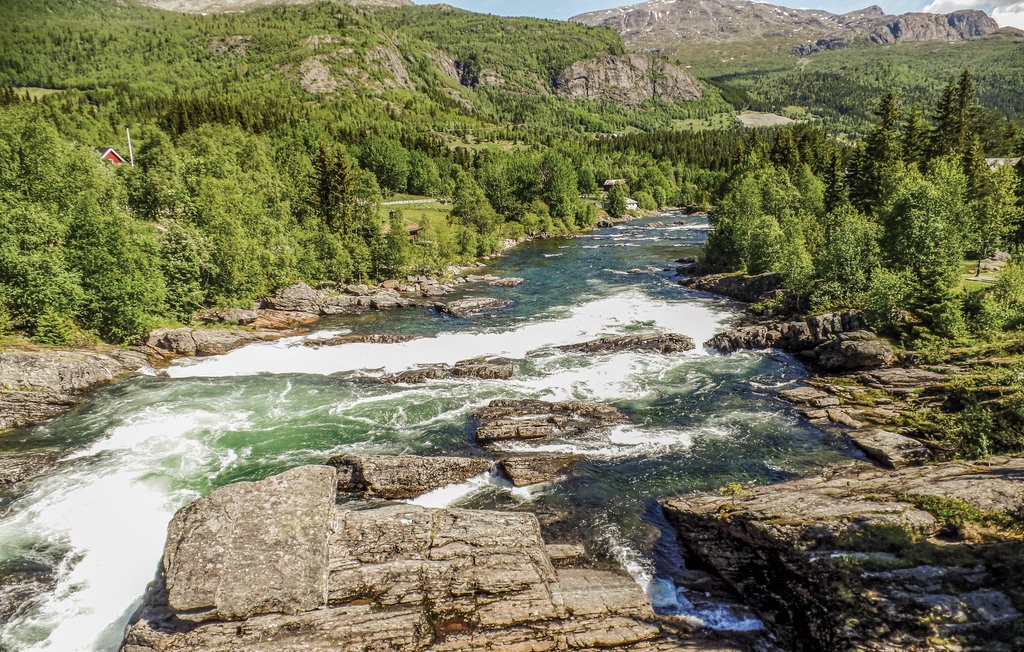 Ferienwohnung - Buskerud , Norwegen - N33339 7