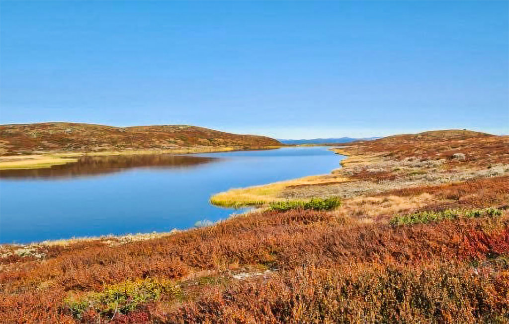 Feriehuse - Golsfjellet/Nystølfjellet , Norge - N33435 29