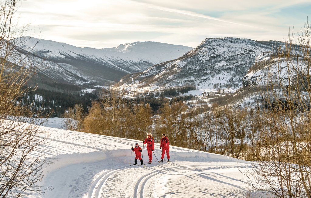 Feriehuse - Hemsedal , Norge - N33645 16