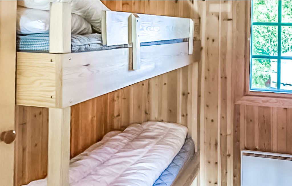 Ferienhaus - Sangefjell Ål / Geilo , Norwegen - N33440 16