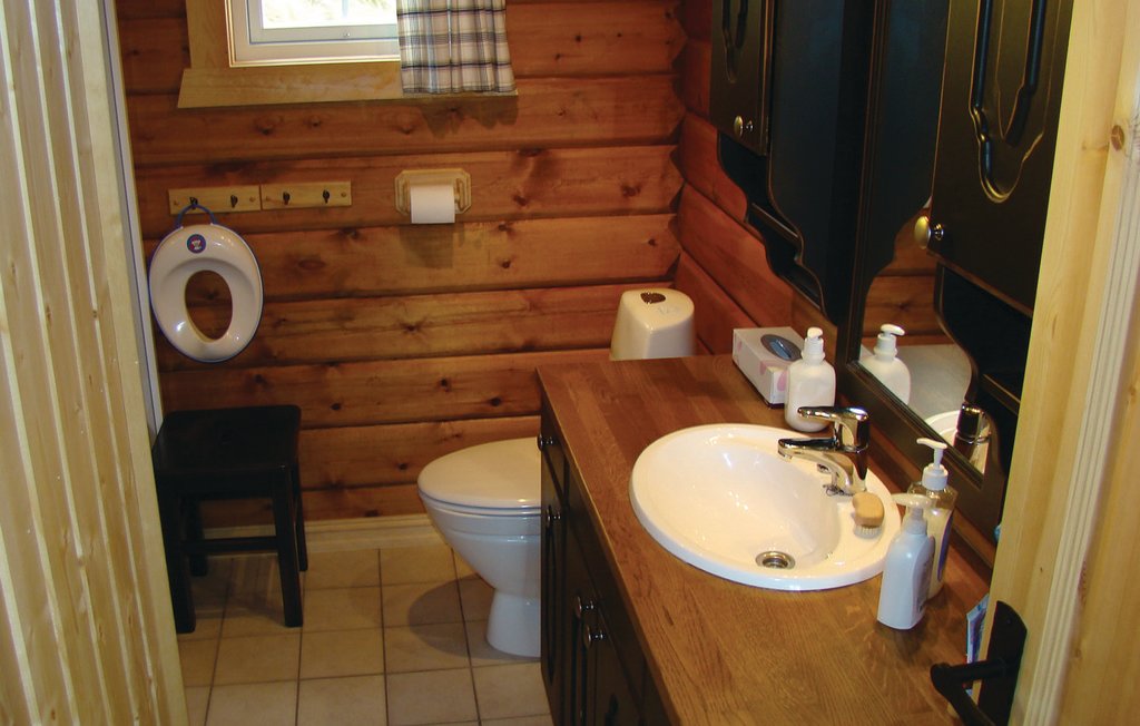 Feriehuse - Reinsjøfjell/Haglebu/Flå , Norge - N33185 20