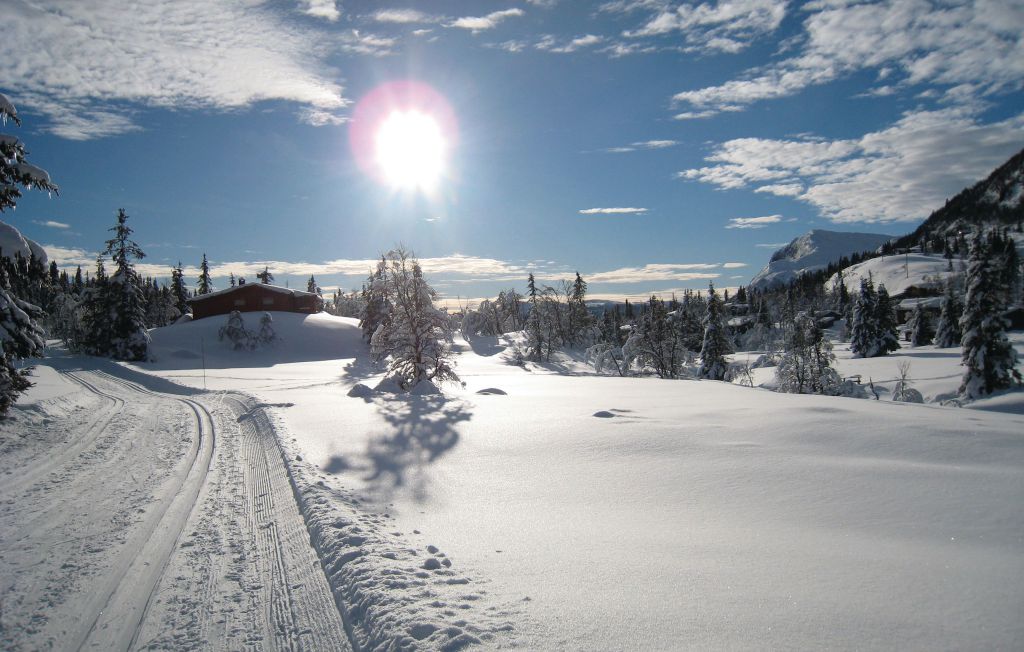 Feriehuse - Eggedal , Norge - N33059 15