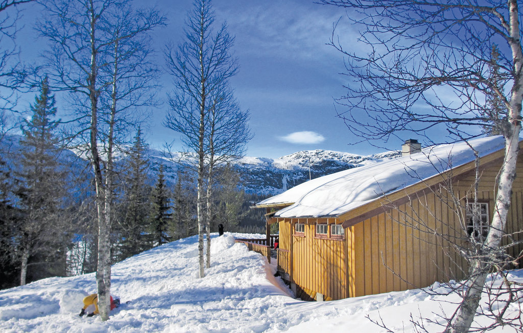 Feriehuse - Eggedal , Norge - N33059 18