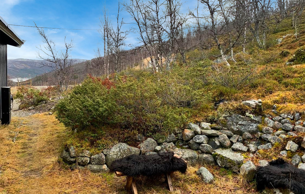 Feriehuse - Uvdal , Norge - N33235 3