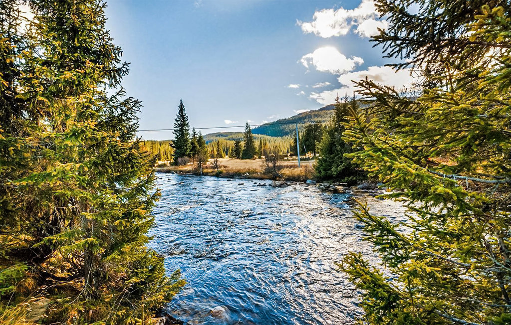 Kuća-za-odmor - Haglebu , Norveška - N33265 12