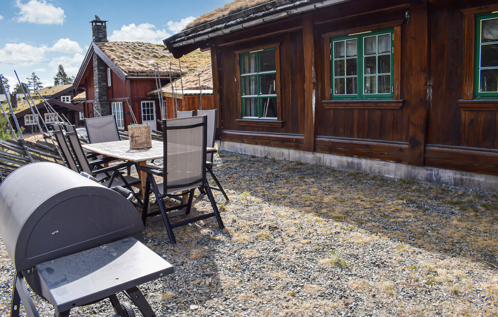 Ferienhaus - Hemsedal , Norwegen - N33261 6