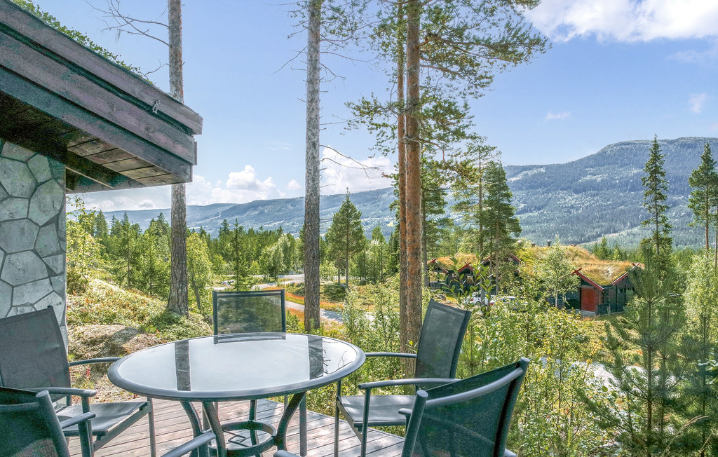 Feriehuse - Hemsedal , Norge - N33300 3