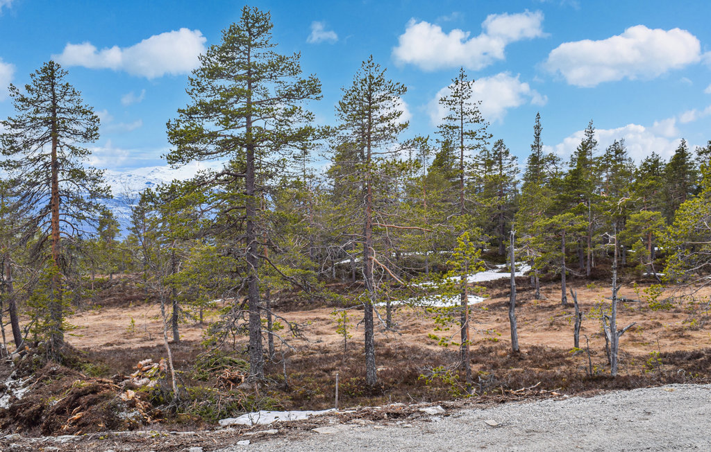 Feriehuse - Sørbølfjell , Norge - N33426 11