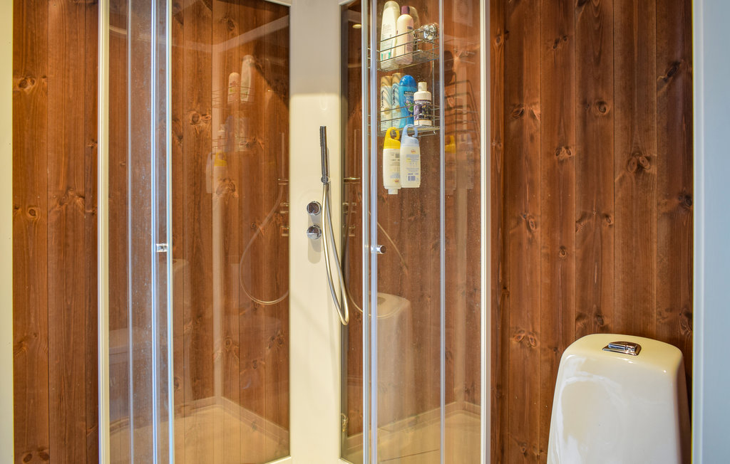 Ferienhaus - Rajekollen/Kongsberg , Norwegen - N33244 14