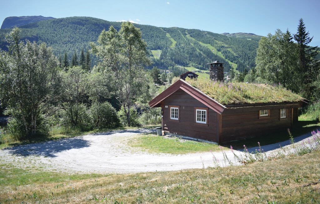Semesterhus - Hemsedal , Norge - N33097 1